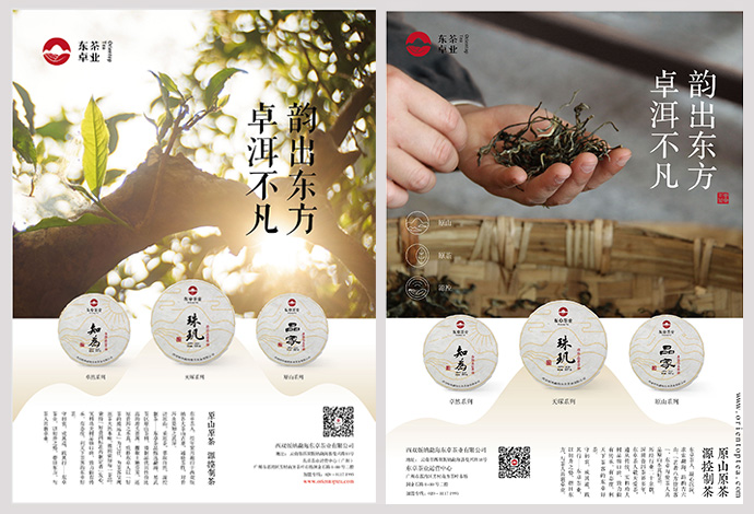 东卓茶叶品牌VI设计 | 普洱茶品牌策划|