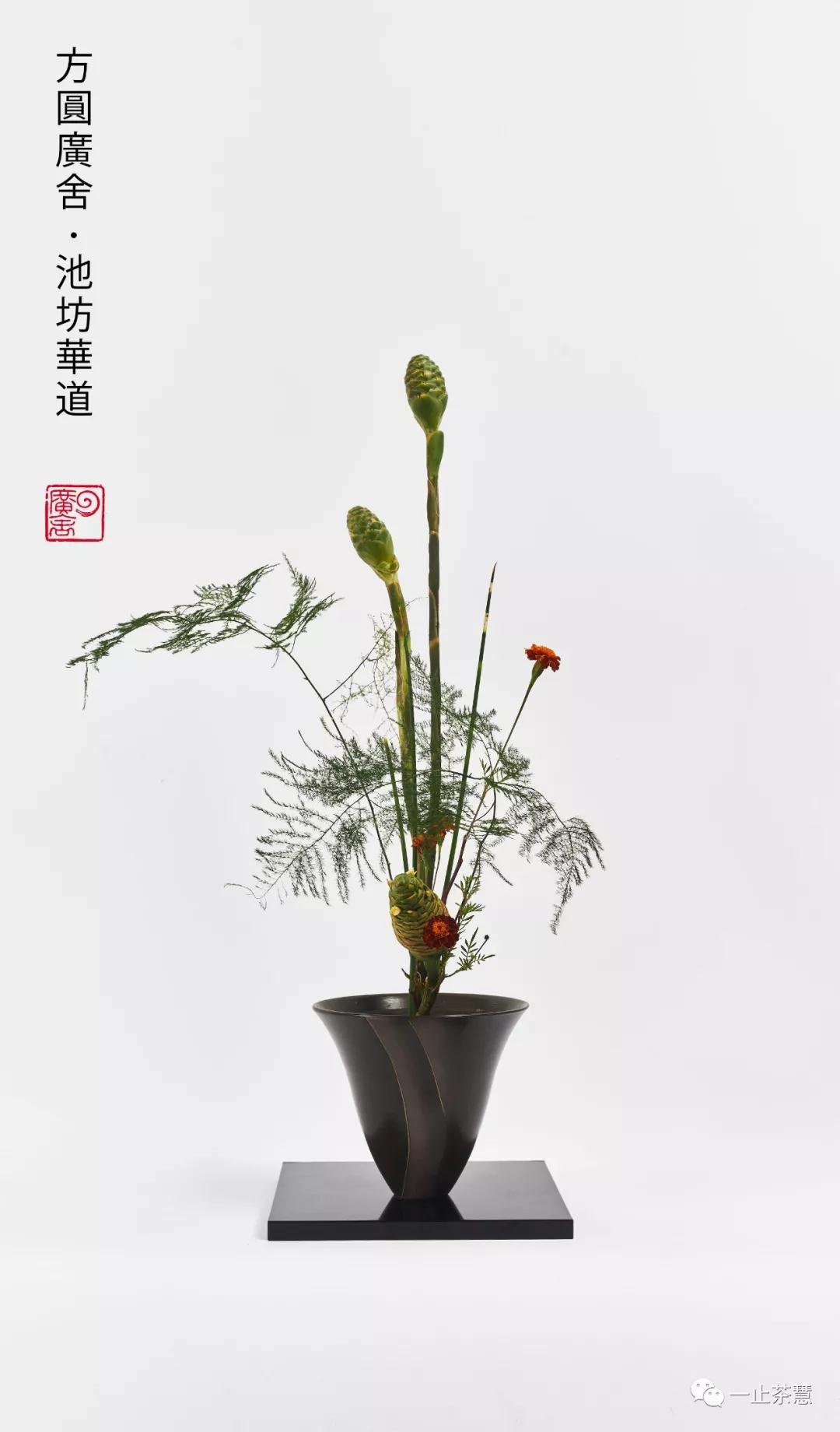 方圆广舍池坊花道