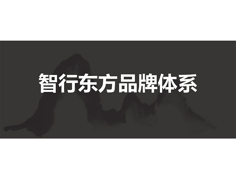 2个案例上官网-3.jpg