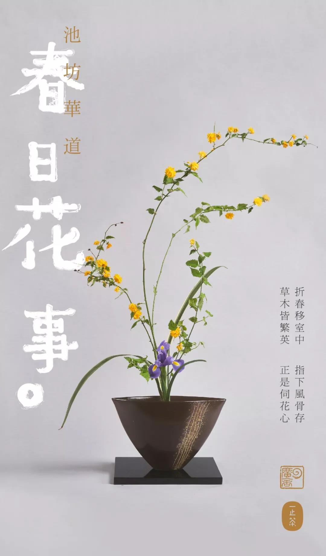 池坊华道-方圆广舍 池坊华道-方圆广舍