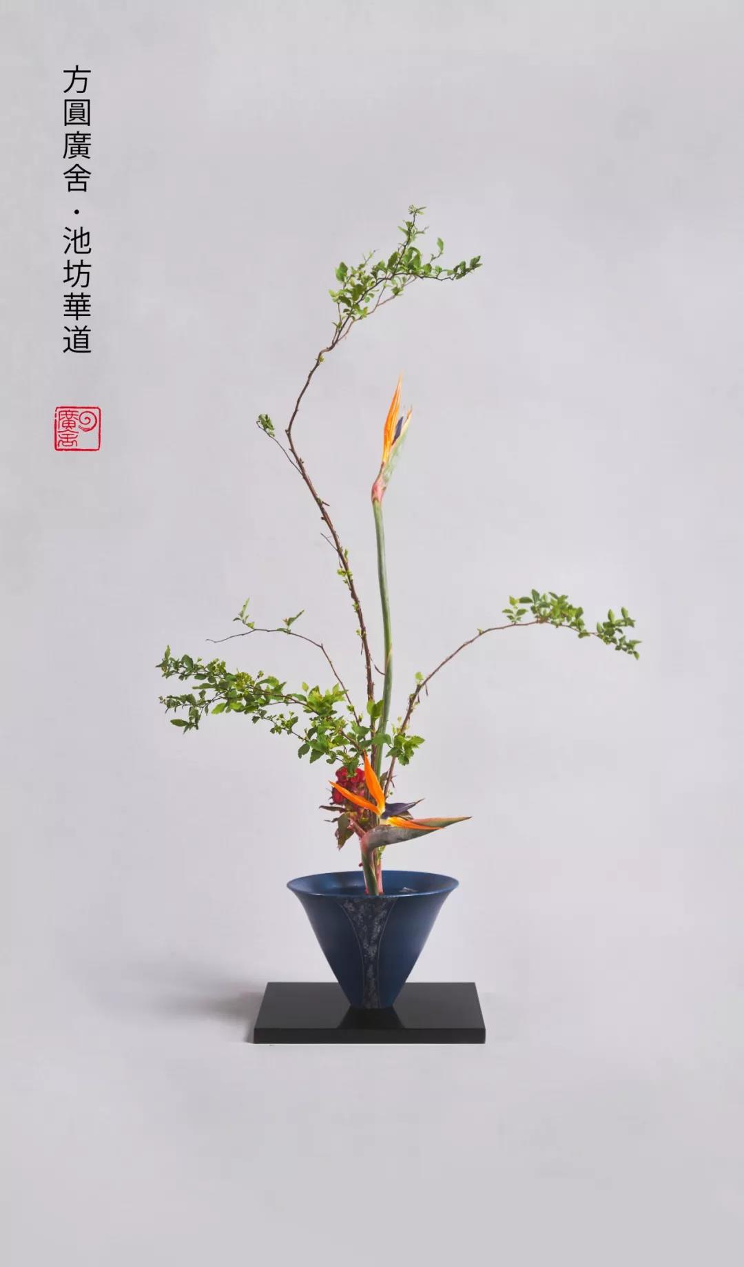池坊华道-方圆广舍 池坊华道-方圆广舍