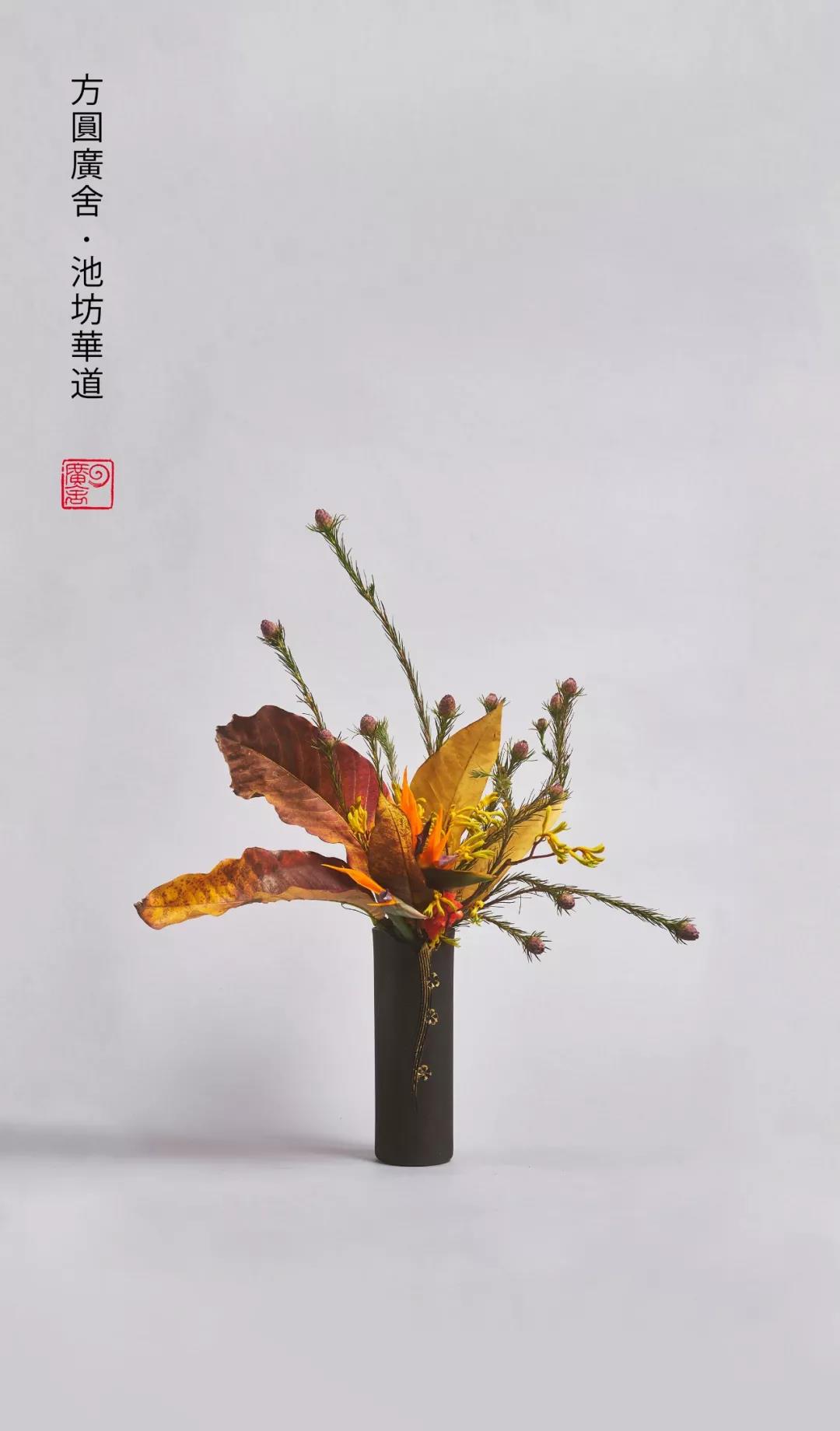 池坊华道-方圆广舍 池坊华道-方圆广舍