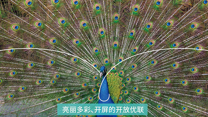 潭江优联标志&包装风格(方案一&三)_52.jpg 潭江优联标志&包装风格(方案一&三)_52.jpg