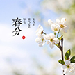 春分 l 春生万物，齐分春色